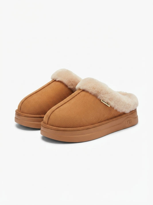 Alegra | Zapatillas