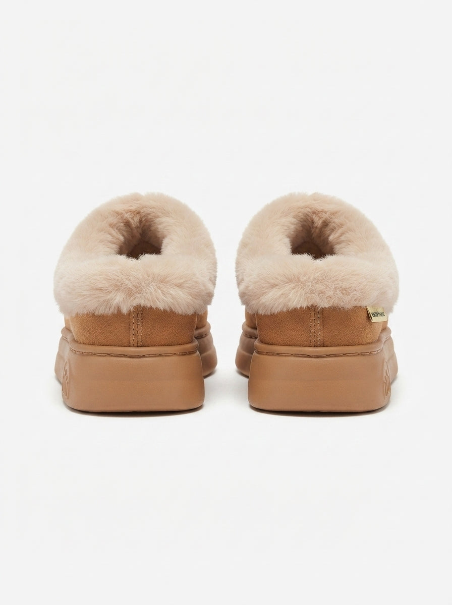 Alegra | Zapatillas