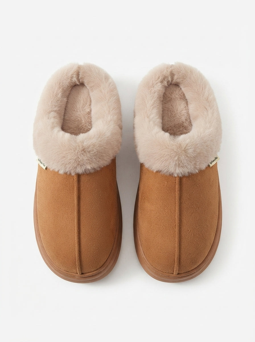 Alegra | Zapatillas